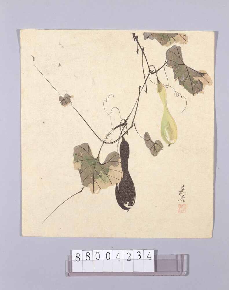 作品画像:へちま図