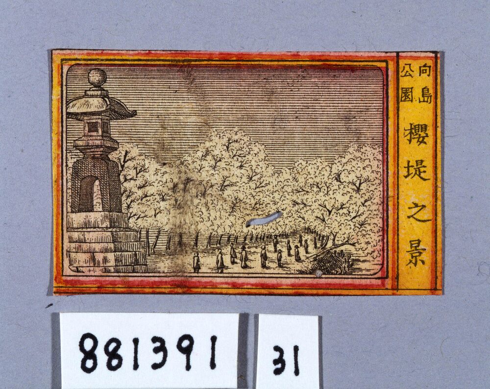 作品画像:向島公園 桜堤之景