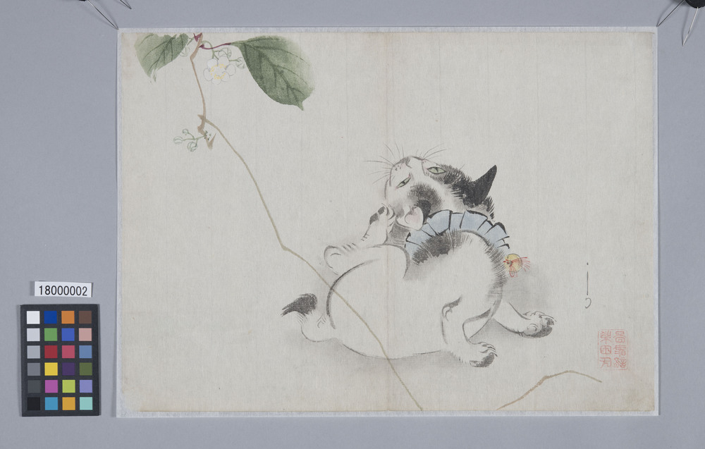 作品画像:猫またたび