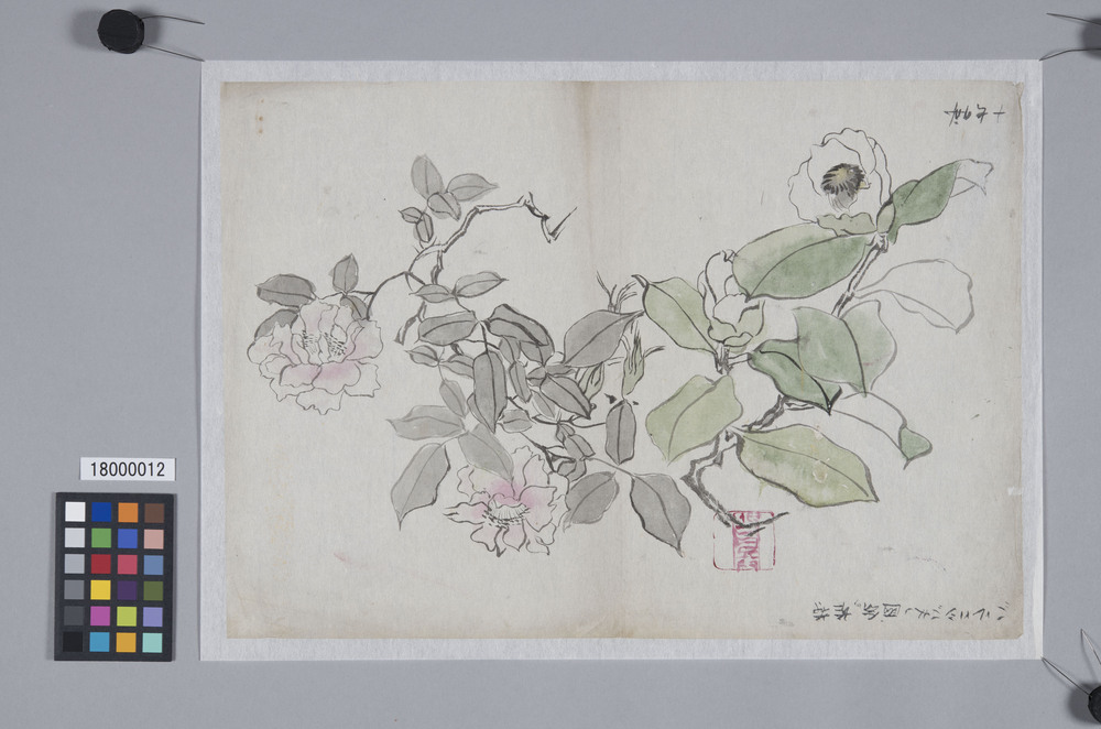 作品画像:薔薇に椿