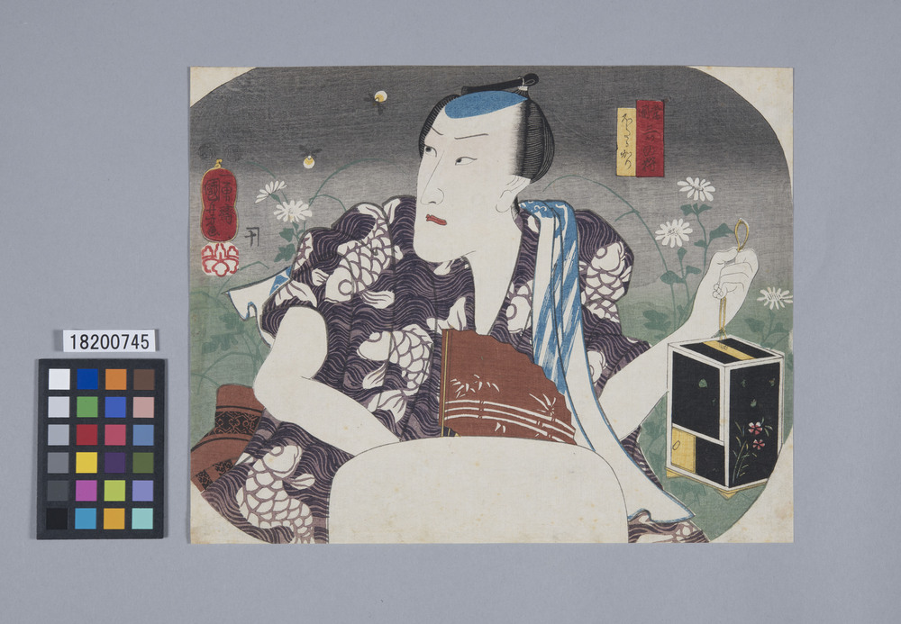 作品画像:団扇絵 当国三ツの狩 ほたるかり