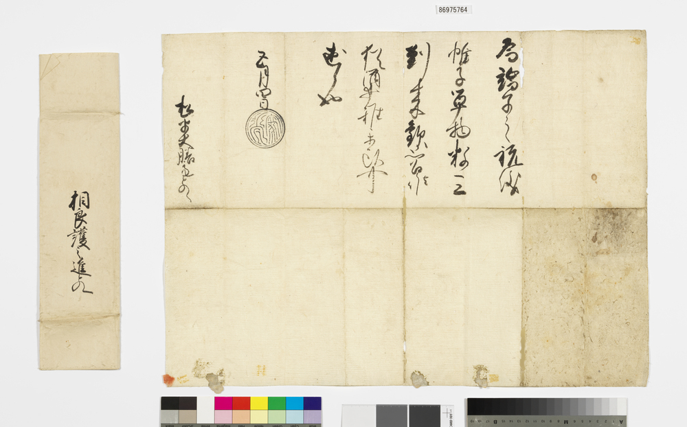 作品画像：徳川家光黒印状(端午祝儀)