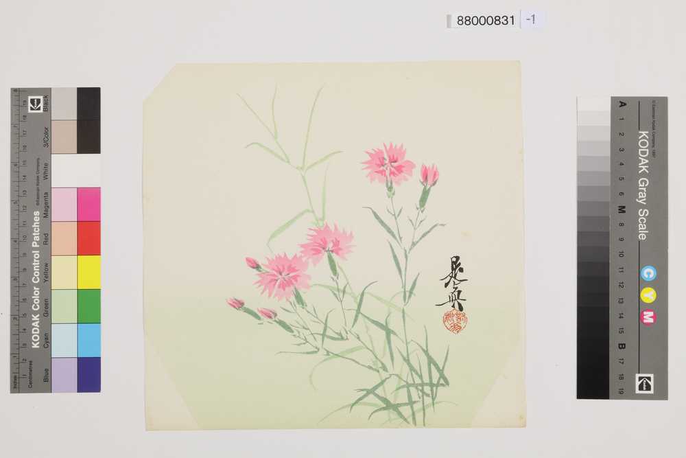 作品画像：榛原聚玉堂版団扇絵 撫子