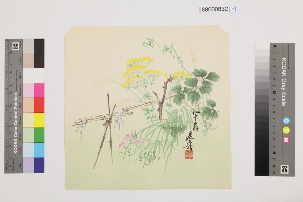 作品画像：榛原聚玉堂版団扇絵 秋花と筧