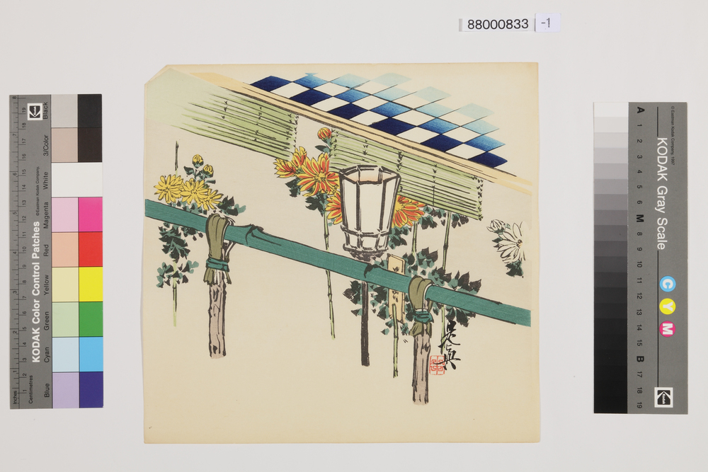 作品画像：榛原聚玉堂版団扇絵 菊花壇