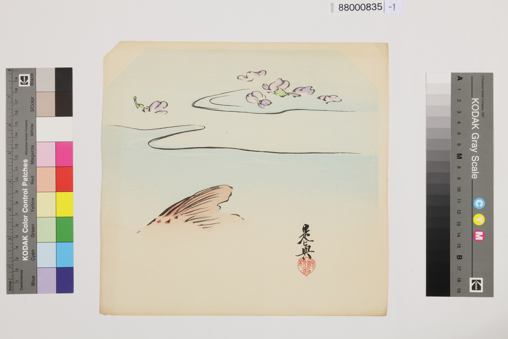 作品画像：榛原聚玉堂版団扇絵 残尾の鯉