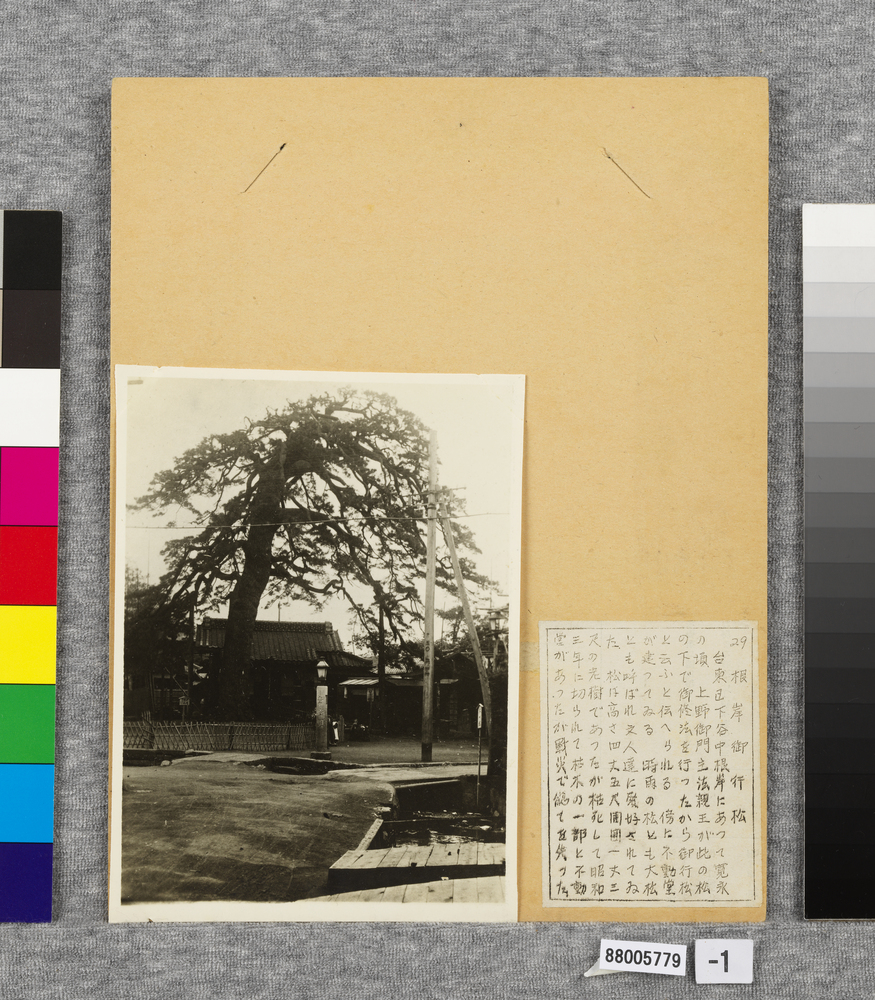 作品画像:温古写真集 29.根岸御行松