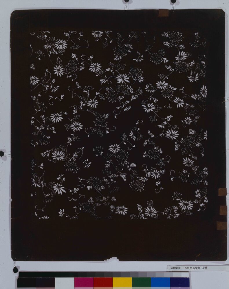 作品画像:長板中形型紙 小菊