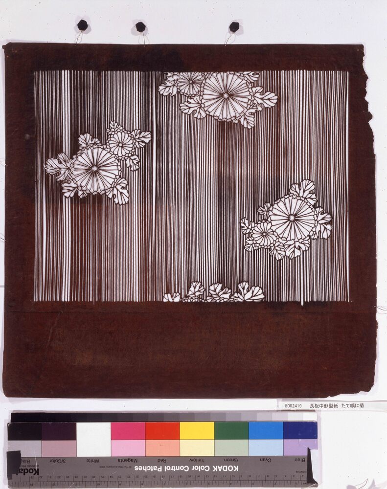 作品画像:長板中形型紙 たて縞に菊