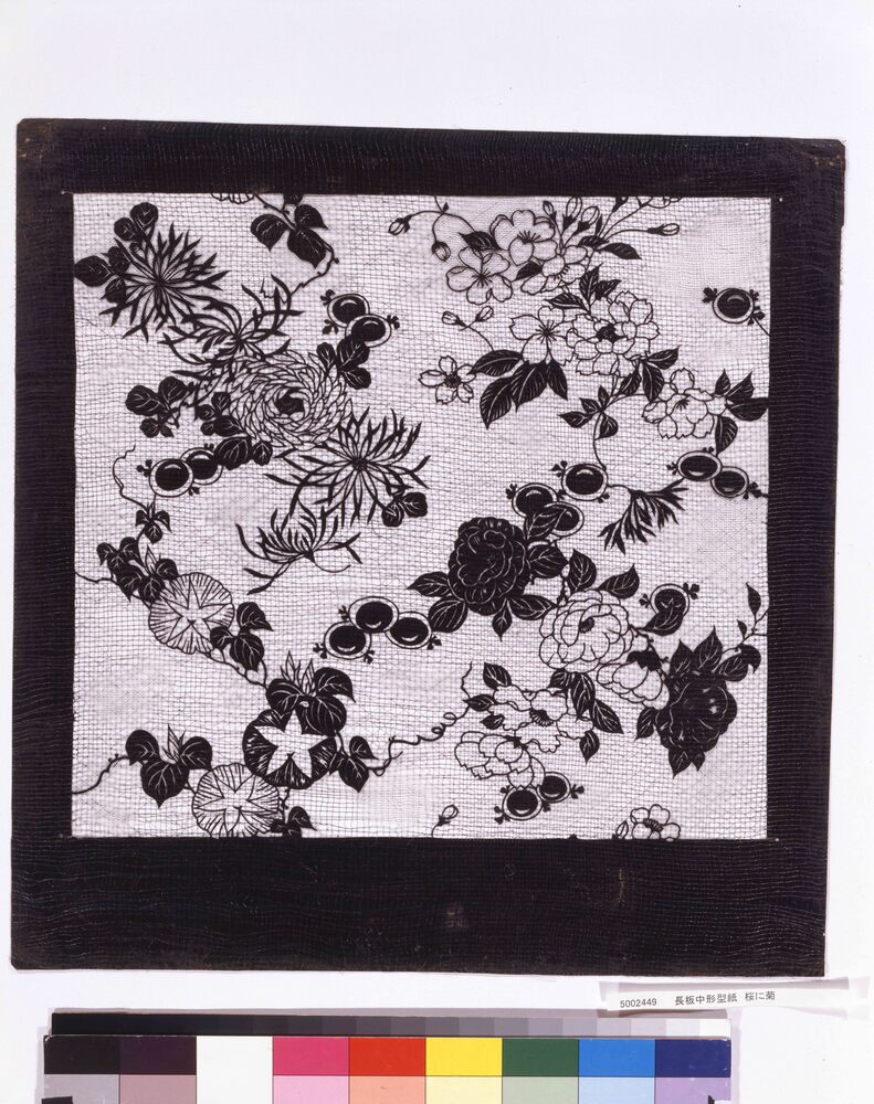 作品画像:長板中形型紙 桜に菊