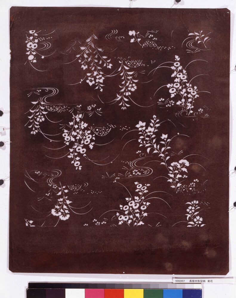 作品画像:長板中形型紙 菊花