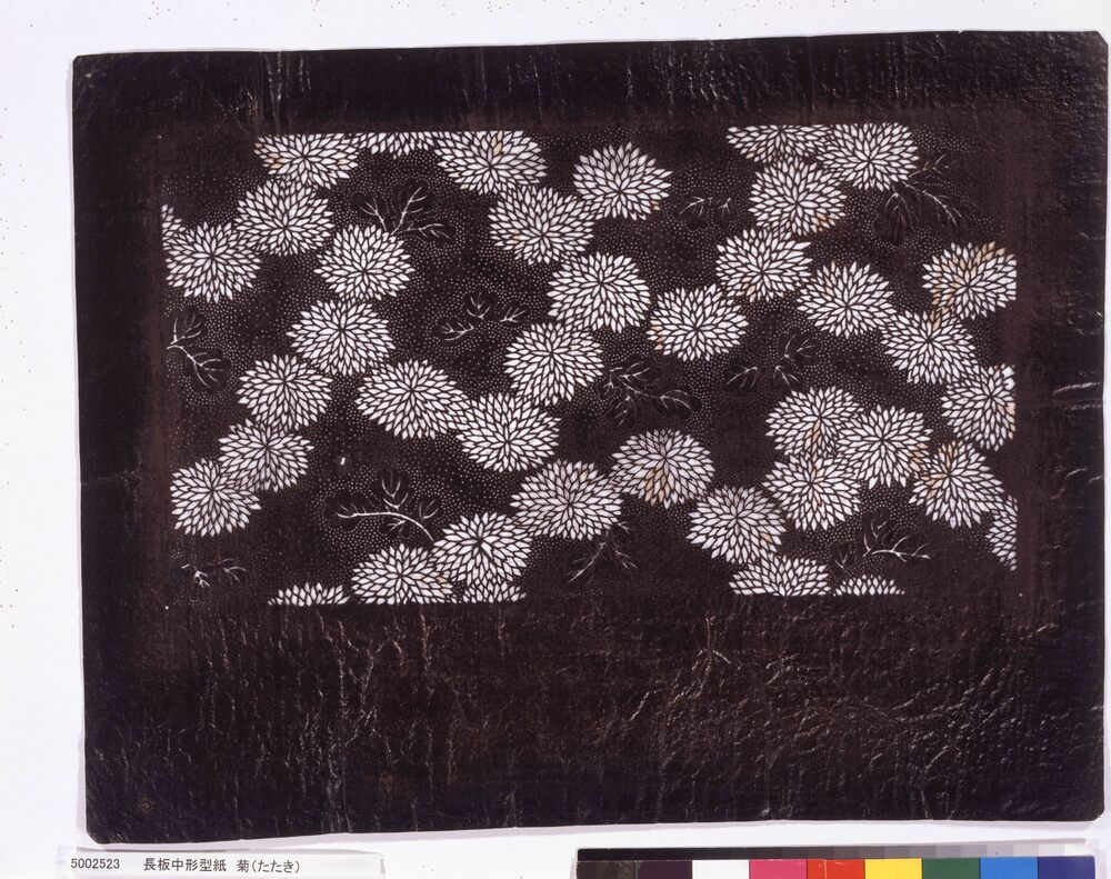 作品画像:長板中形型紙 菊(たたき)