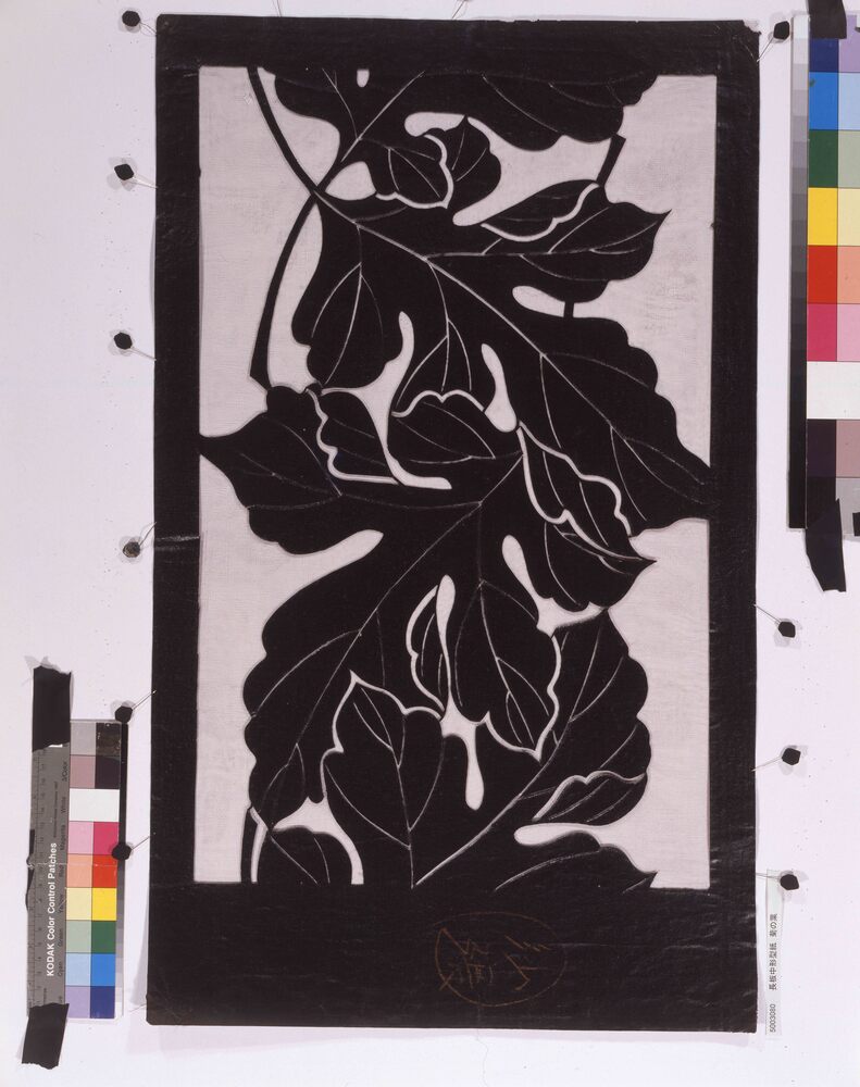 作品画像:長板中形型紙 菊の葉