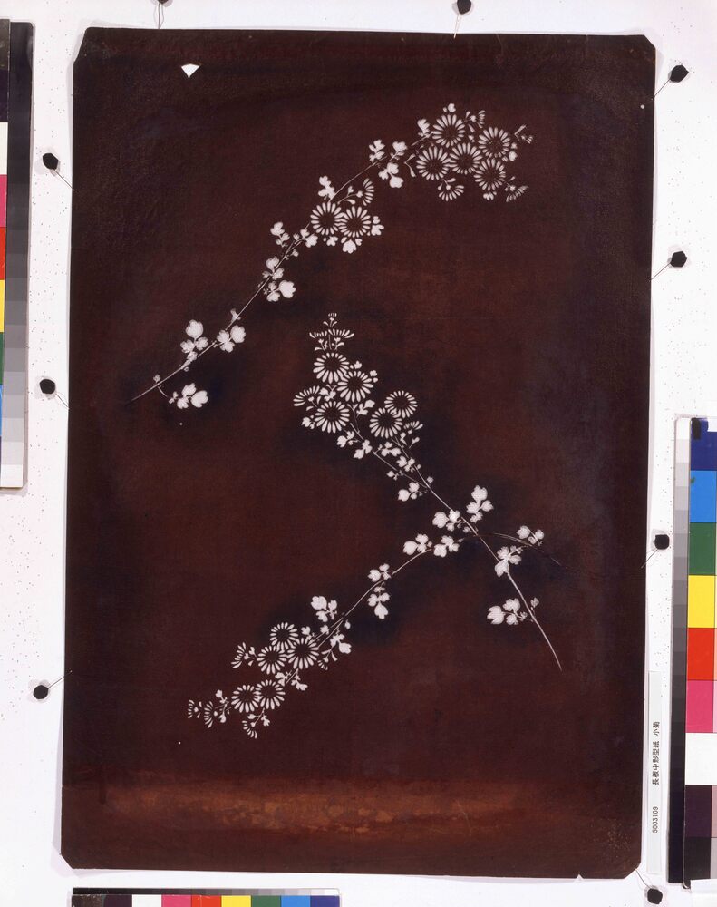 作品画像：長板中形型紙 小菊