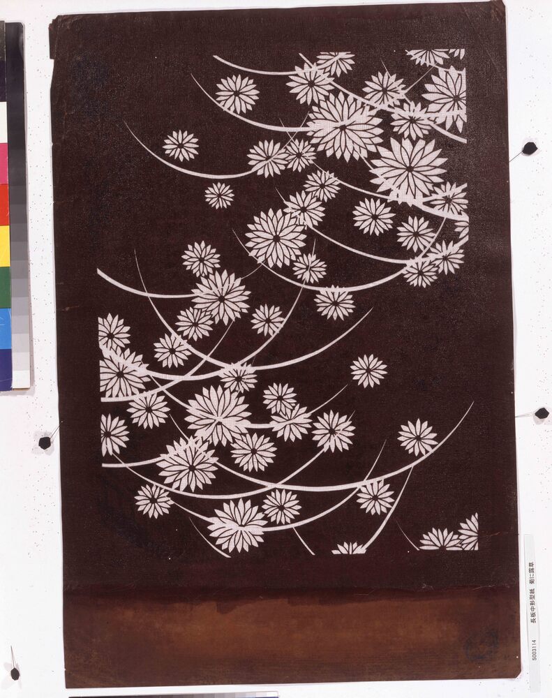 作品画像:長板中形型紙 菊に露草