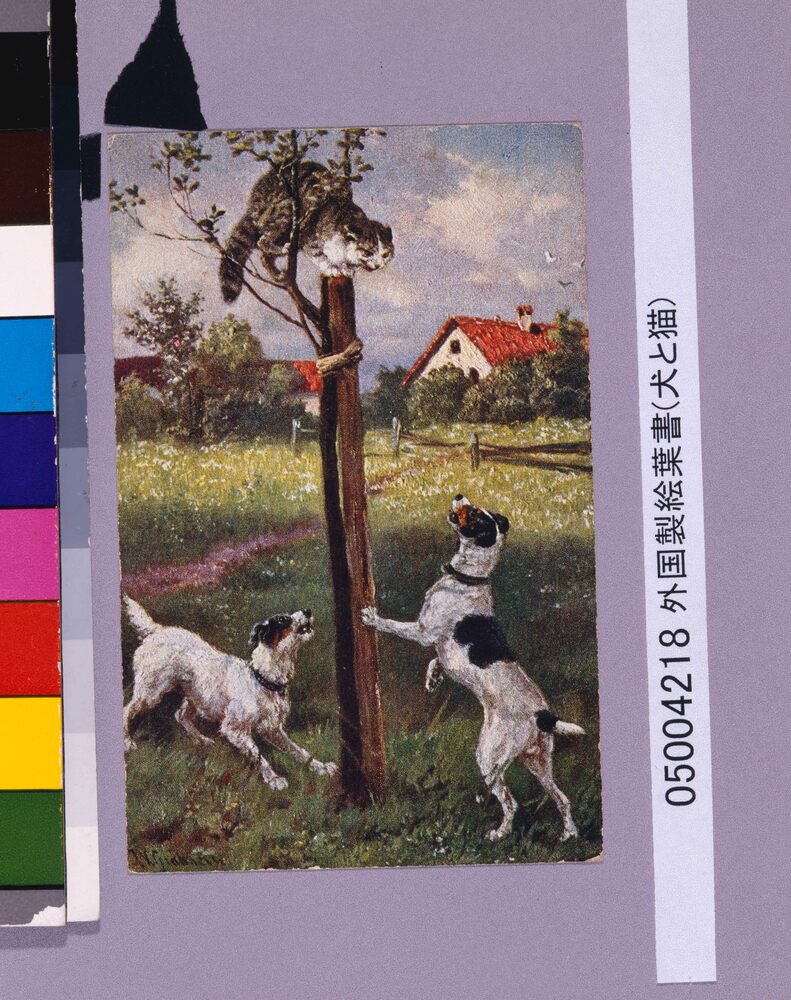 作品画像:外国製絵葉書(犬と猫)