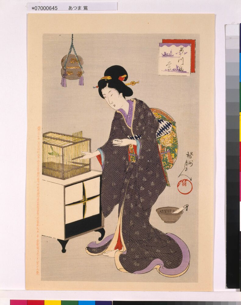 作品画像:あつま 鴬