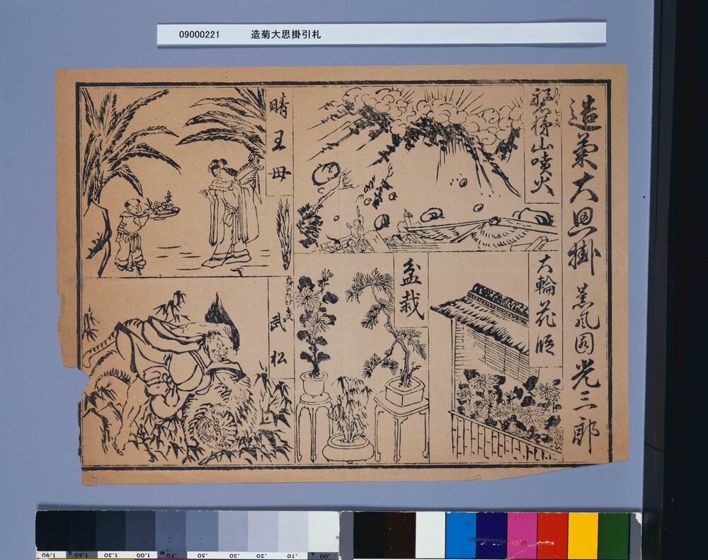 作品画像：造菊大思掛引札