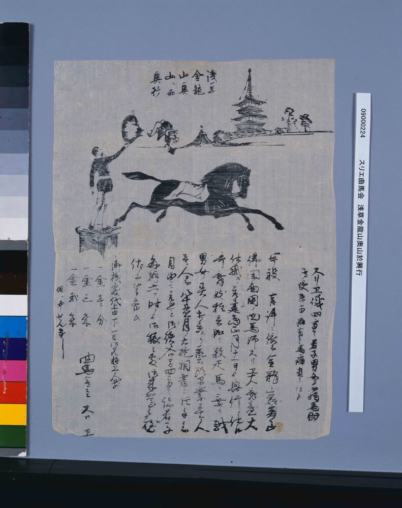 作品画像：スリエ曲馬会　浅草金龍山奥山於興行
