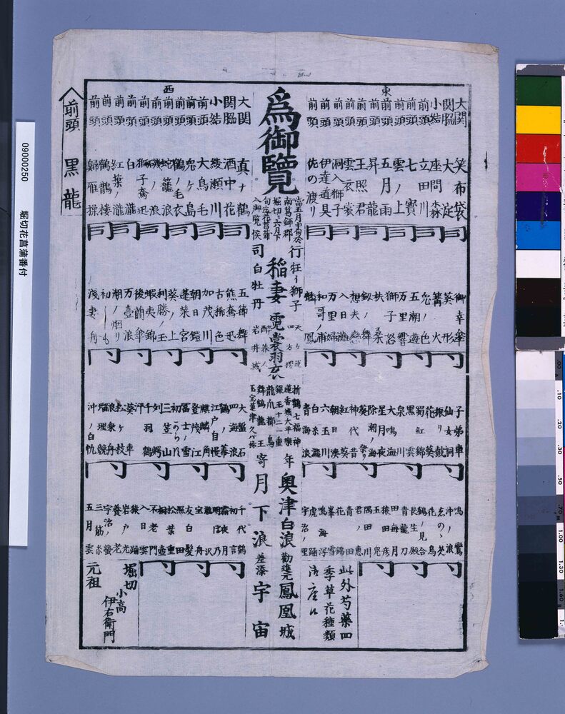 作品画像:堀切花菖蒲番付