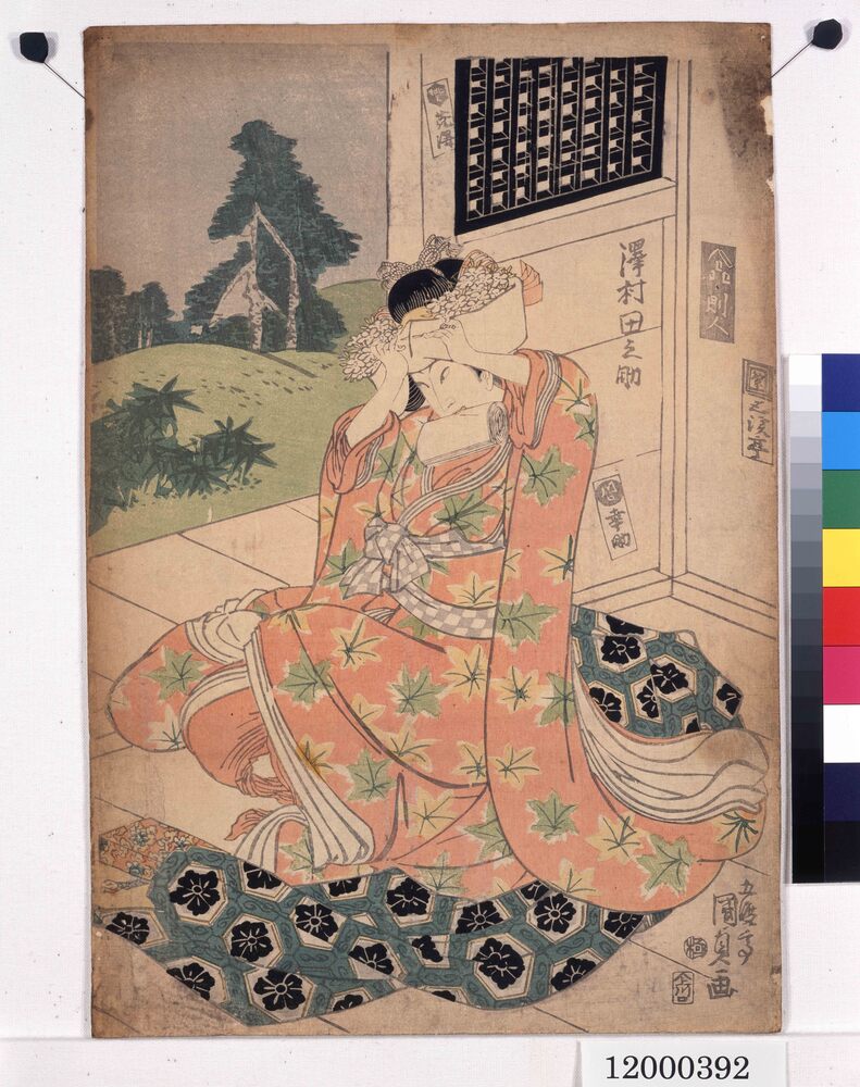 作品画像:澤村田之助