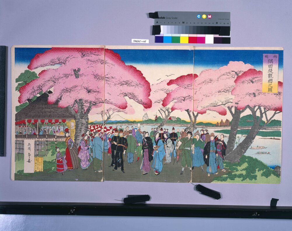 作品画像:向島隅田堤観桜之図