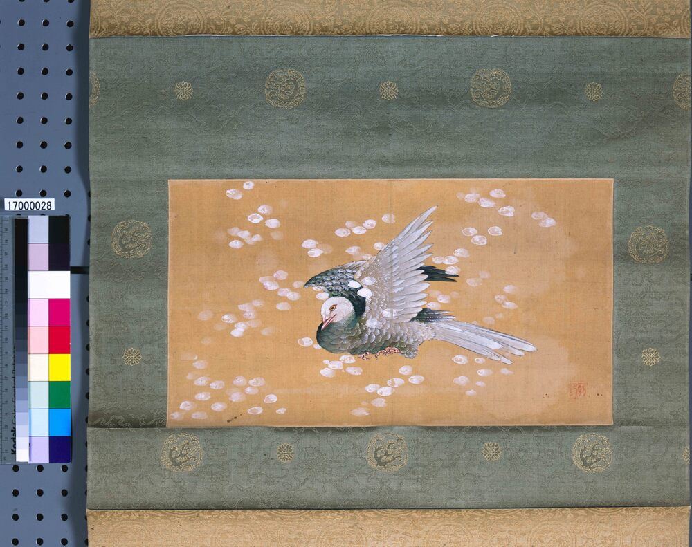 作品画像：鳩図