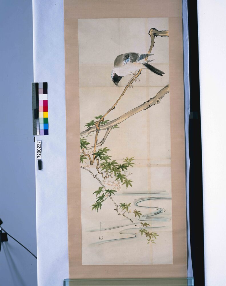 作品画像：粉本　花鳥