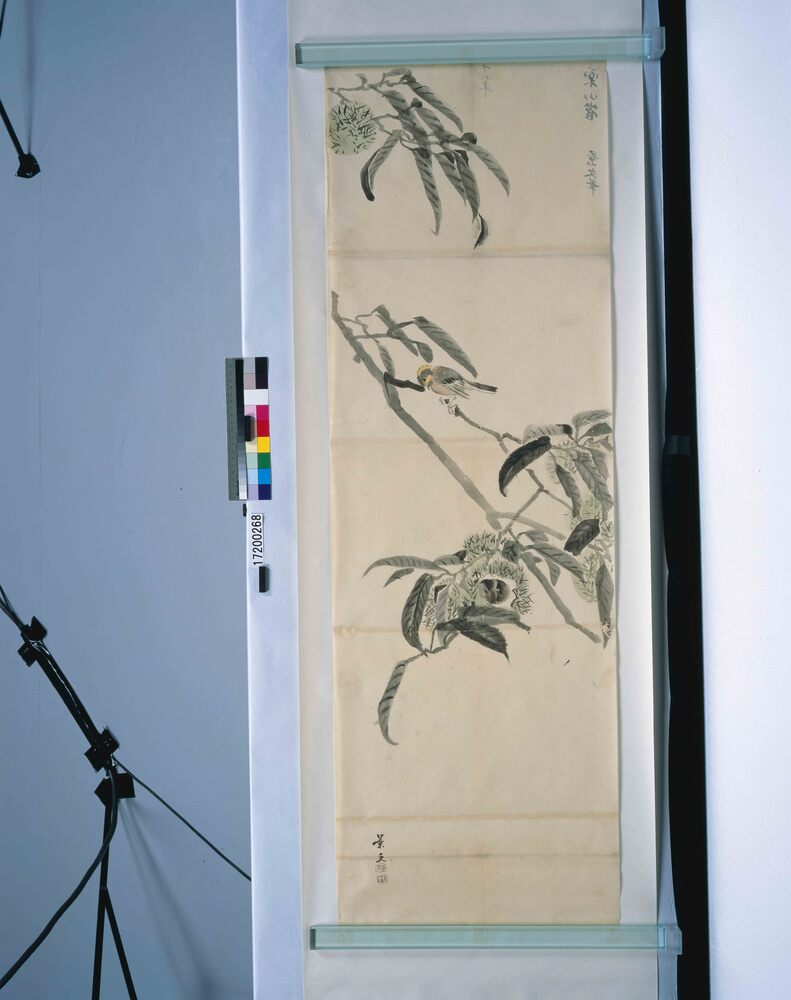 作品画像:粉本 景文写 粟雀
