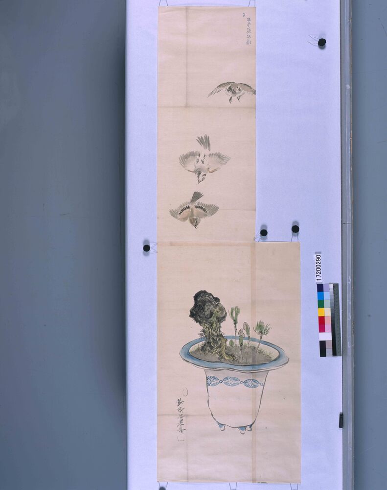 作品画像:粉本 盆栽飛鳥