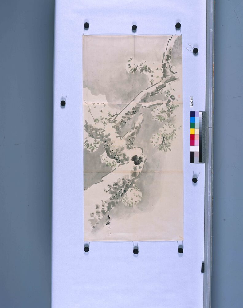 作品画像：粉本　松に雪