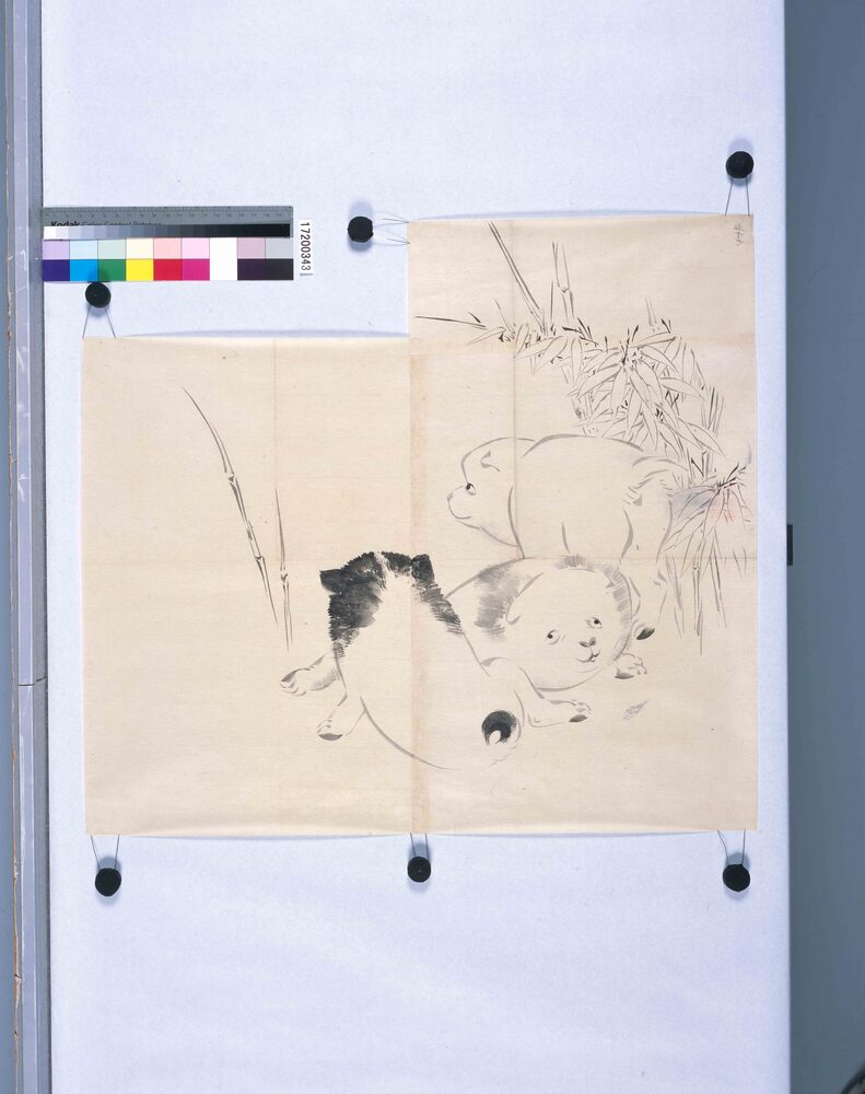 作品画像:粉本 笹に三狗