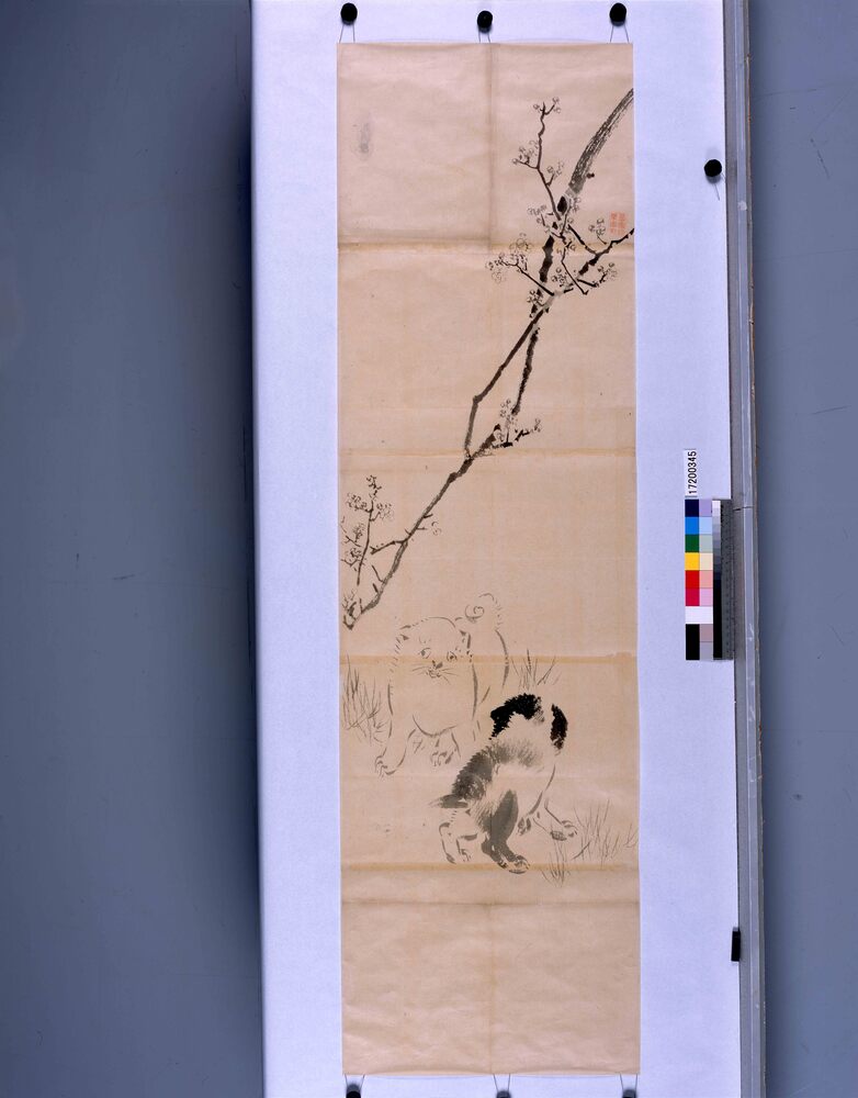作品画像：粉本　仔犬と梅