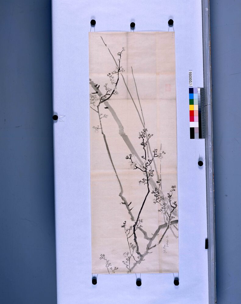 作品画像:粉本 梅花
