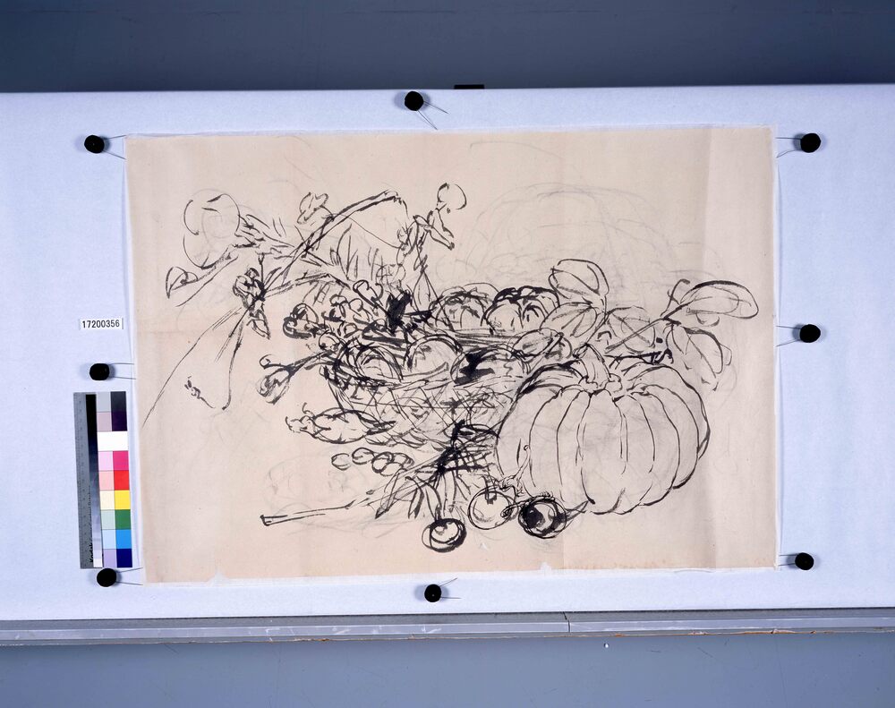 作品画像:粉本 野菜