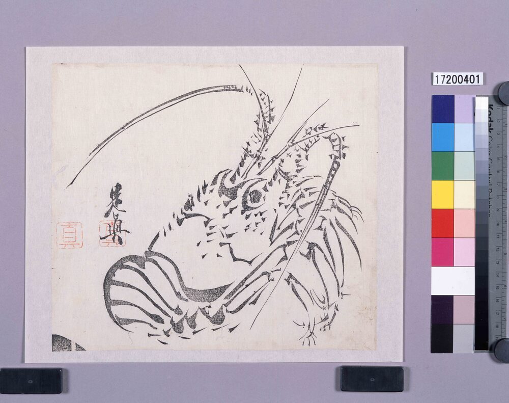 作品画像:墨版 伊勢海老