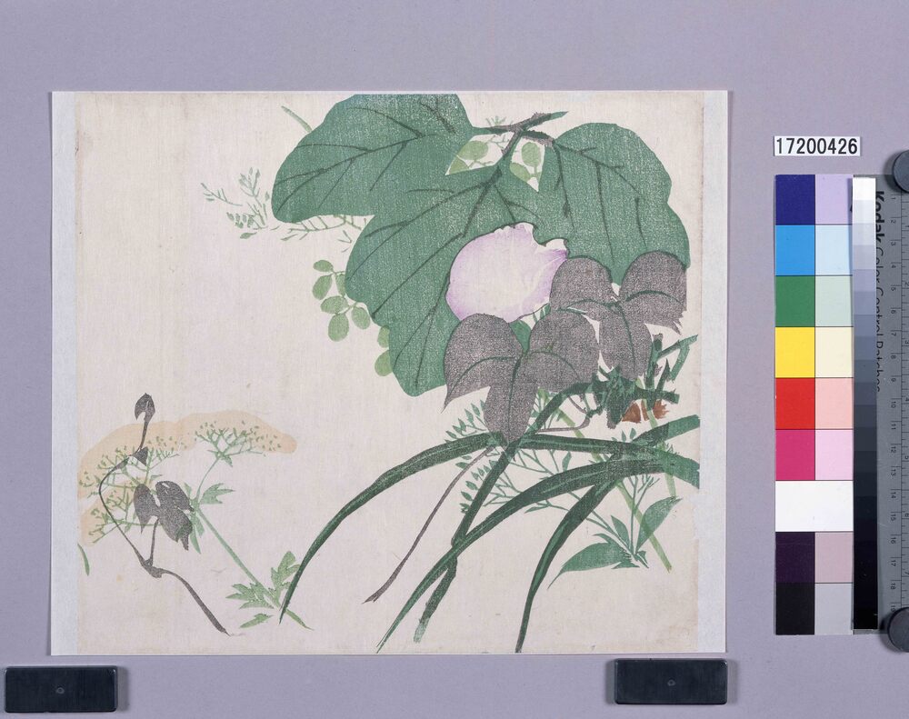 作品画像：多色刷　秋草