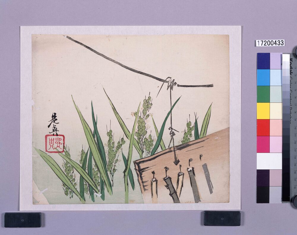 作品画像:多色刷 秋の田