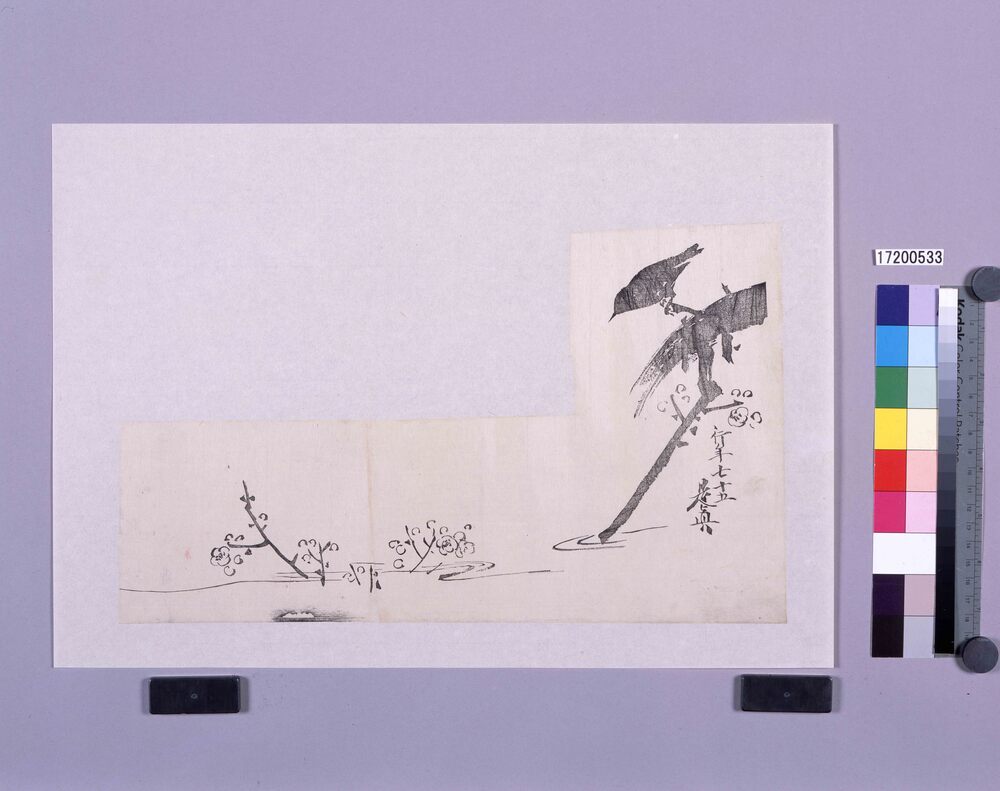 作品画像：墨版　梅に鶯