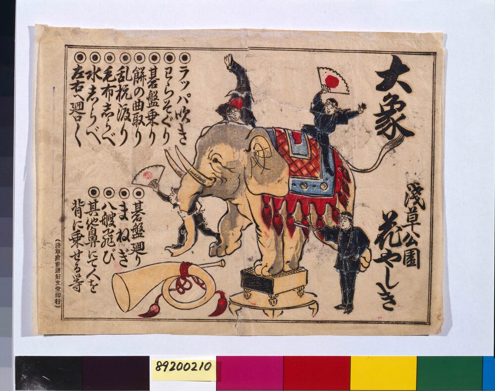 作品画像:浅草公園花やしき大象
