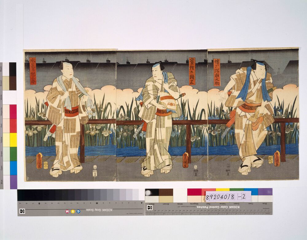 作品画像:花菖蒲五色全盛 宝結乃権三