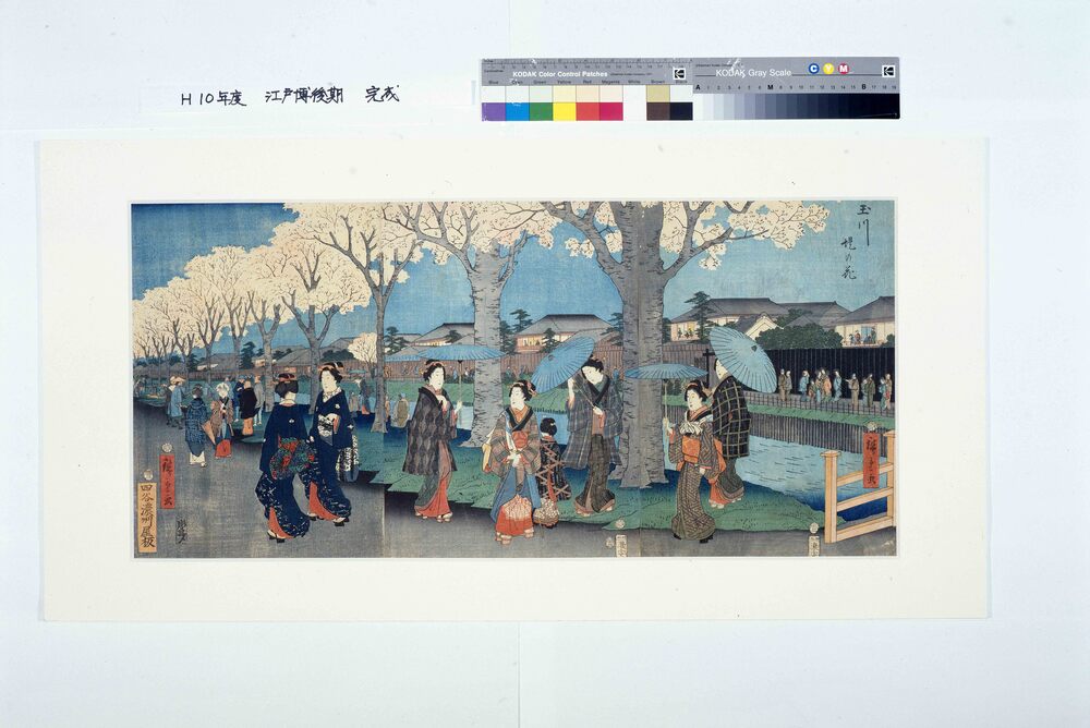 作品画像:玉川堤の花