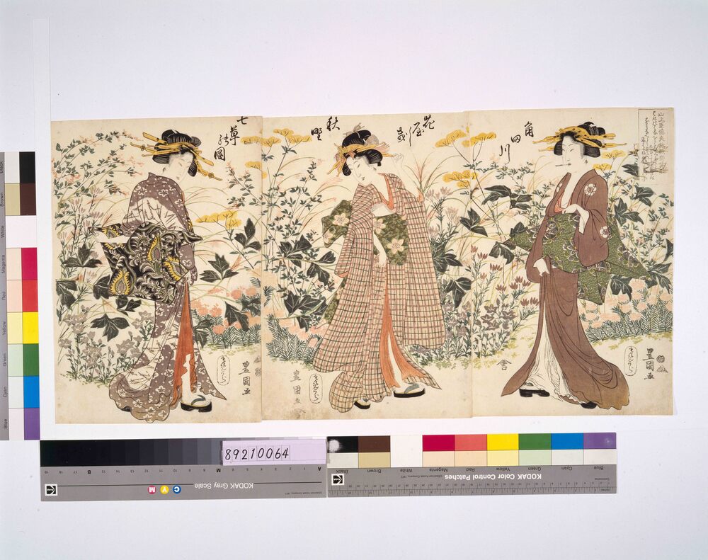 作品画像:角田川花やしき秋野七草の図
