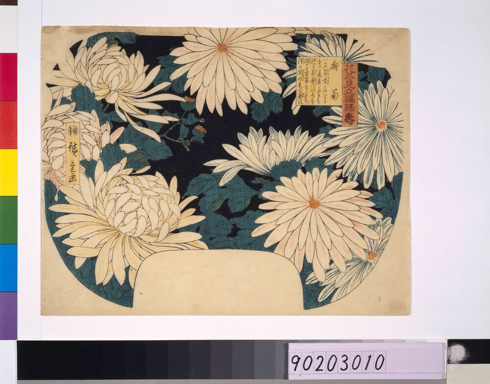 作品画像：花尽見立福禄寿 寿菊