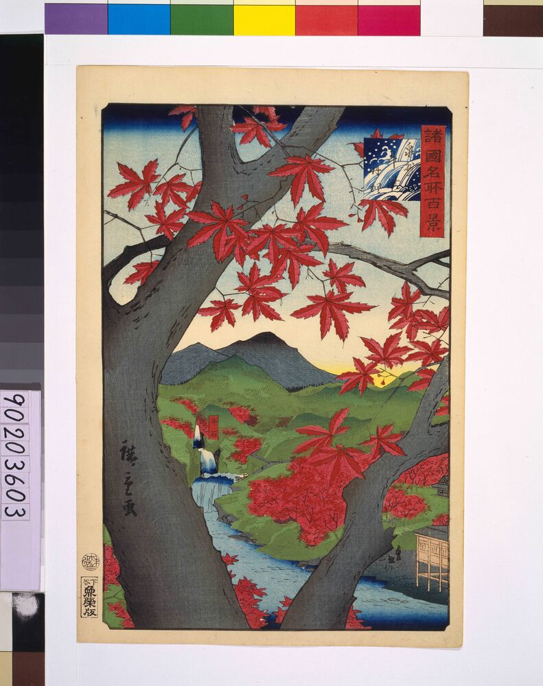 諸国名所百景 泉州牛滝丹楓