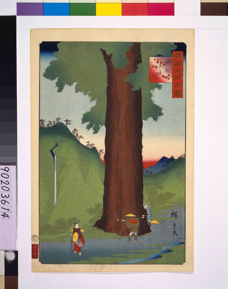 作品画像:諸国名所百景 甲州矢立杉