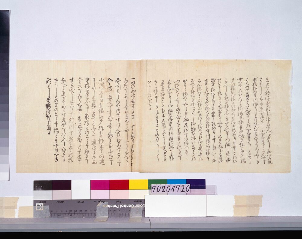 作品画像：[去廿一日朝四ッ半頃外神田へんより出火]