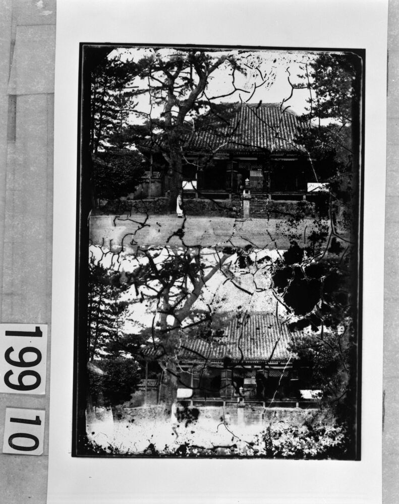作品画像:不退寺本堂