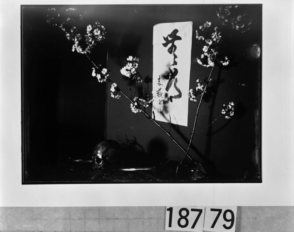作品画像：桜と書と髑髏