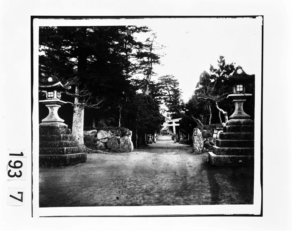 作品画像:参道と灯篭